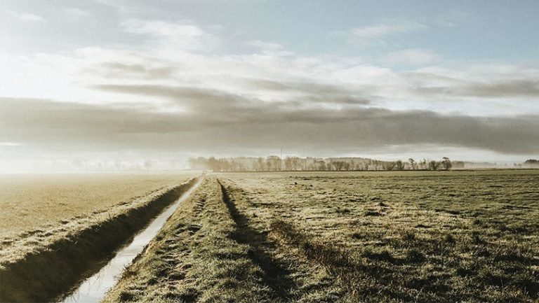 Moin Lieblingsland Partner Moin Lieblingsland Partner Friedrichstädter Friesennetz