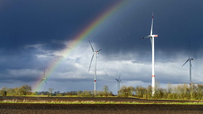 Moin Lieblingsland Partner Stadtwerke Husum