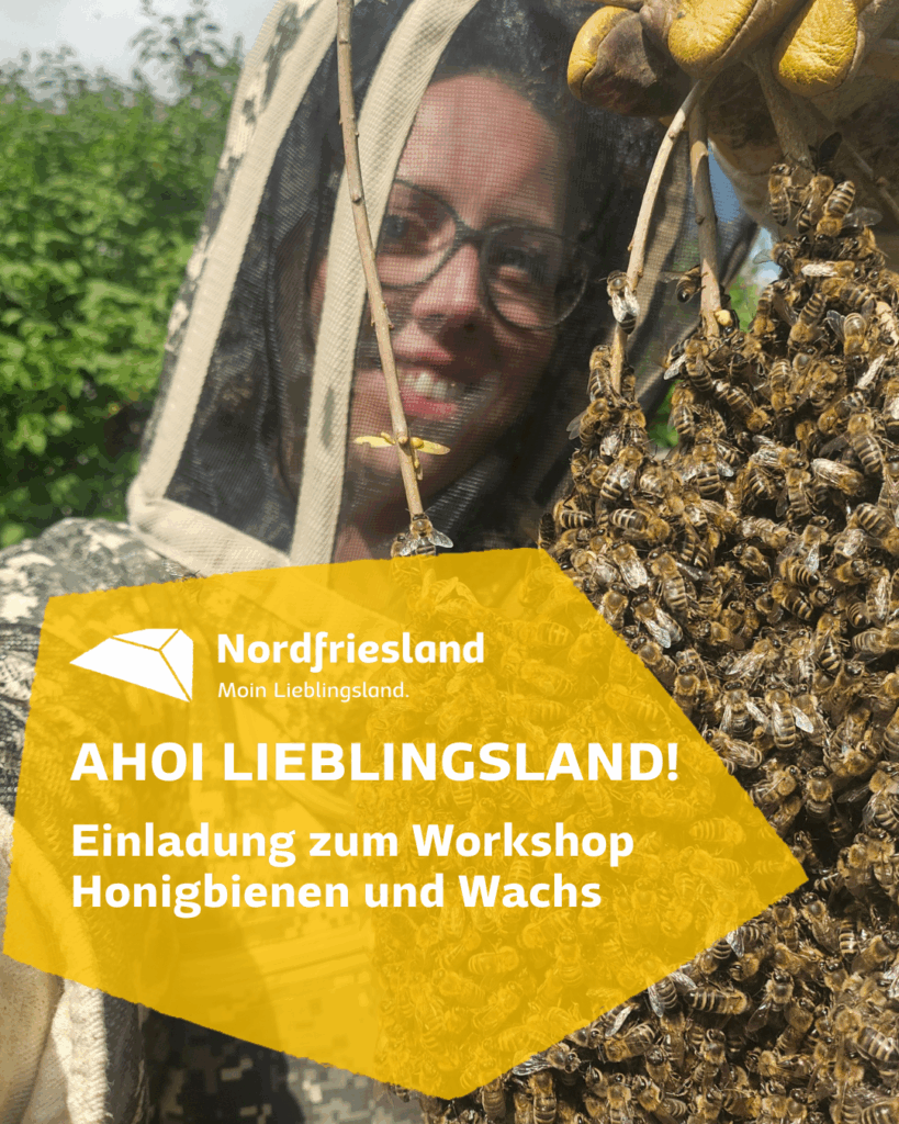 Beitragsbild Bettys Bienen