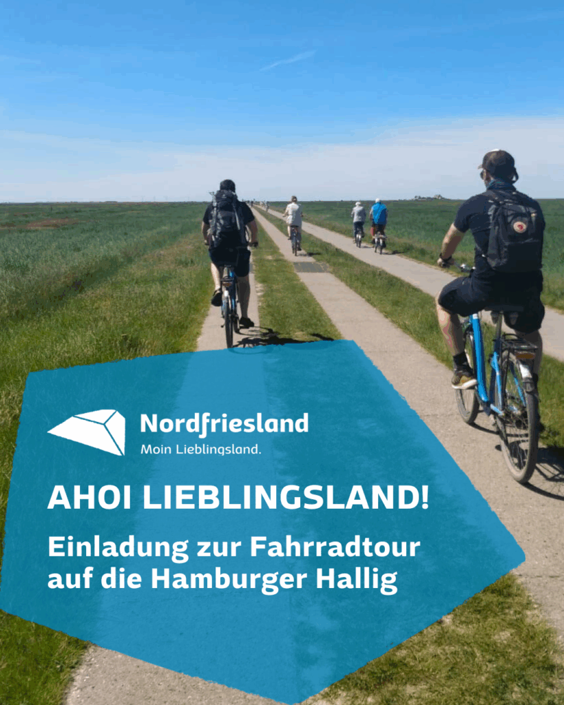 Beitragsbild Fahrradtour Hamburger Hallig
