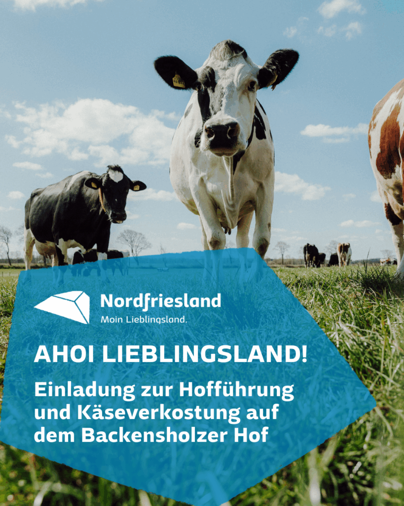 Beitragsbild Käsetasting Backensholz