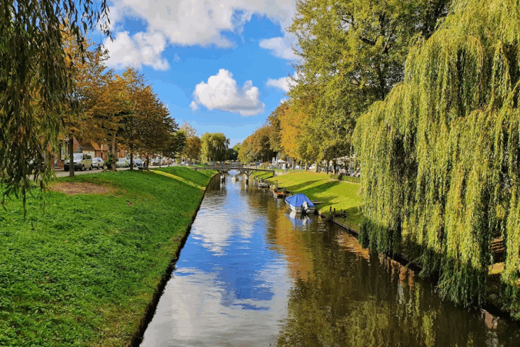 Titelbild Blog Friedrichstadt