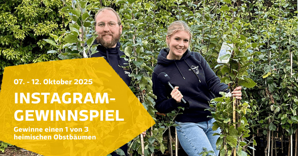 Header Instagram-Gewinnspiel Obstbäume